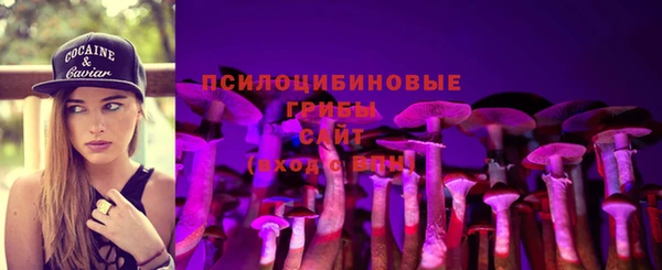 а пвп мука Армянск