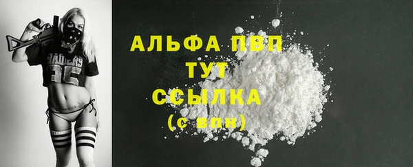 ECSTASY Пестово