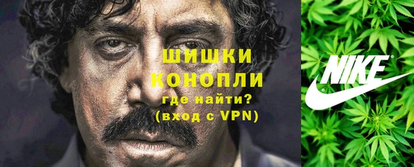СК Аркадак