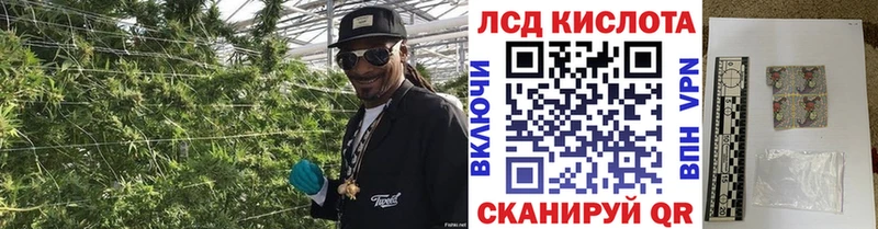 Наркотические марки 1500мкг Строитель