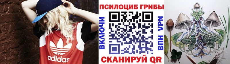 Галлюциногенные грибы Psilocybe  Строитель 